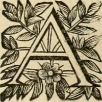 An illustration from Fasti ducales ab Anafesto I. ad Silvestrum Valerium Venetorum ducem : cum eorum iconibus, insignibus, nummismatibus publicis, & privatis aere sculptis : inscriptionibus ex aula M. Consilii, ac sepulchralibus : adiectae sunt adnotationes, ad vitam cuiusque principis, rerum, quae omissae fuerant (1696)