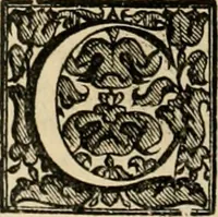 Picture 110 of 184 from Fasti ducales ab Anafesto I. ad Silvestrum Valerium Venetorum ducem : cum eorum iconibus, insignibus, nummismatibus publicis, & privatis aere sculptis : inscriptionibus ex aula M. Consilii, ac sepulchralibus : adiectae sunt adnotationes, ad vitam cuiusque principis, rerum, quae omissae fuerant (1696), leaf 173