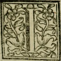 An illustration from Fasti ducales ab Anafesto I. ad Silvestrum Valerium Venetorum ducem : cum eorum iconibus, insignibus, nummismatibus publicis, & privatis aere sculptis : inscriptionibus ex aula M. Consilii, ac sepulchralibus : adiectae sunt adnotationes, ad vitam cuiusque principis, rerum, quae omissae fuerant (1696)