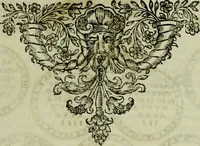 Picture 137 of 184 from Fasti ducales ab Anafesto I. ad Silvestrum Valerium Venetorum ducem : cum eorum iconibus, insignibus, nummismatibus publicis, & privatis aere sculptis : inscriptionibus ex aula M. Consilii, ac sepulchralibus : adiectae sunt adnotationes, ad vitam cuiusque principis, rerum, quae omissae fuerant (1696), leaf 228