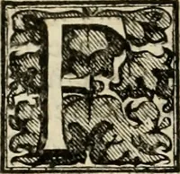 An illustration from Fasti ducales ab Anafesto I. ad Silvestrum Valerium Venetorum ducem : cum eorum iconibus, insignibus, nummismatibus publicis, & privatis aere sculptis : inscriptionibus ex aula M. Consilii, ac sepulchralibus : adiectae sunt adnotationes, ad vitam cuiusque principis, rerum, quae omissae fuerant (1696)