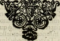 Picture 182 of 184 from Fasti ducales ab Anafesto I. ad Silvestrum Valerium Venetorum ducem : cum eorum iconibus, insignibus, nummismatibus publicis, & privatis aere sculptis : inscriptionibus ex aula M. Consilii, ac sepulchralibus : adiectae sunt adnotationes, ad vitam cuiusque principis, rerum, quae omissae fuerant (1696), leaf 337