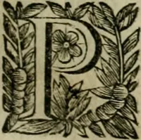 An illustration from Fasti ducales ab Anafesto I. ad Silvestrum Valerium Venetorum ducem : cum eorum iconibus, insignibus, nummismatibus publicis, & privatis aere sculptis : inscriptionibus ex aula M. Consilii, ac sepulchralibus : adiectae sunt adnotationes, ad vitam cuiusque principis, rerum, quae omissae fuerant (1696)