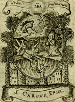 Picture 238 of 291 from Fasti Mariani cum illustrium diuorum imaginib. & elogijs prope DC. in singulos anni menses diésq SS. natales distributis (1630), leaf 504