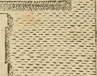 An illustration from Fastos magistratvvm et trivmphorvm Romanorvm ab vrbe condita ad Avgvsti obitvm, ex antiqvis tam nvmismatvm qvam marmorvm monvmentis restitvtos (1566)