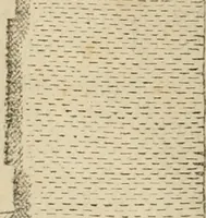An illustration from Fastos magistratvvm et trivmphorvm Romanorvm ab vrbe condita ad Avgvsti obitvm, ex antiqvis tam nvmismatvm qvam marmorvm monvmentis restitvtos (1566)