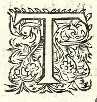 An illustration from Fatiche comiche di Domenico Bruni, detto Fuluio, comico di Madama serenissima principessa di Piemonte : parte prima (1623)