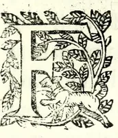 An illustration from Fatiche comiche di Domenico Bruni, detto Fuluio, comico di Madama serenissima principessa di Piemonte : parte prima (1623)