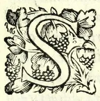 An illustration from Fatiche comiche di Domenico Bruni, detto Fuluio, comico di Madama serenissima principessa di Piemonte : parte prima (1623)