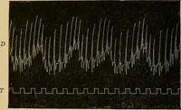 An illustration from Fear (1896)