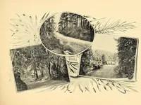 Picture 1 of 16 from Features of the hill country, Florida (1894), leaf 11