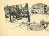 Picture 4 of 16 from Features of the hill country, Florida (1894), leaf 19