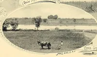Picture 5 of 16 from Features of the hill country, Florida (1894), leaf 21