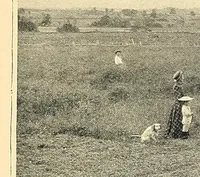 Picture 6 of 16 from Features of the hill country, Florida (1894), leaf 21