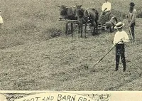 Picture 7 of 16 from Features of the hill country, Florida (1894), leaf 21