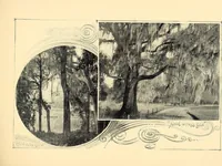 Picture 9 of 16 from Features of the hill country, Florida (1894), leaf 27