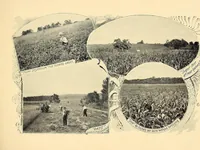 An illustration from Features of the hill country, Florida (1894)