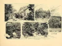 Picture 15 of 16 from Features of the hill country, Florida (1894), leaf 49