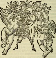 An illustration from Febris china chinae expugnata, seu, Illustr. aliquot virorum opuscula, quae veram tradunt methodum, febres china chinae curandi (1700)