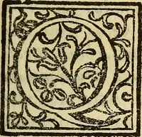 An illustration from Febris china chinae expugnata, seu, Illustr. aliquot virorum opuscula, quae veram tradunt methodum, febres china chinae curandi (1700)