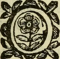 An illustration from Febris china chinae expugnata, seu, Illustr. aliquot virorum opuscula, quae veram tradunt methodum, febres china chinae curandi (1700)