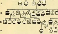 An illustration from The feebly inhibited; Nomadism, or the wandering impulse, with special reference to heredity, Inheritance of temperament (1915)