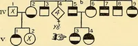 Picture 4 of 37 from The feebly inhibited; Nomadism, or the wandering impulse, with special reference to heredity, Inheritance of temperament (1915), leaf 135