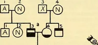 An illustration from The feebly inhibited; Nomadism, or the wandering impulse, with special reference to heredity, Inheritance of temperament (1915)