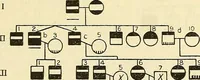 An illustration from The feebly inhibited; Nomadism, or the wandering impulse, with special reference to heredity, Inheritance of temperament (1915)
