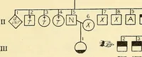 An illustration from The feebly inhibited; Nomadism, or the wandering impulse, with special reference to heredity, Inheritance of temperament (1915)