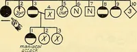 Picture 9 of 37 from The feebly inhibited; Nomadism, or the wandering impulse, with special reference to heredity, Inheritance of temperament (1915), leaf 139