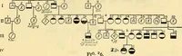 An illustration from The feebly inhibited; Nomadism, or the wandering impulse, with special reference to heredity, Inheritance of temperament (1915)