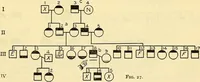 An illustration from The feebly inhibited; Nomadism, or the wandering impulse, with special reference to heredity, Inheritance of temperament (1915)