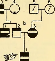 Picture 14 of 37 from The feebly inhibited; Nomadism, or the wandering impulse, with special reference to heredity, Inheritance of temperament (1915), leaf 143