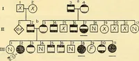 An illustration from The feebly inhibited; Nomadism, or the wandering impulse, with special reference to heredity, Inheritance of temperament (1915)
