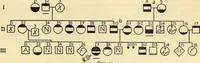 An illustration from The feebly inhibited; Nomadism, or the wandering impulse, with special reference to heredity, Inheritance of temperament (1915)