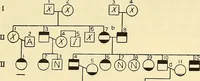 An illustration from The feebly inhibited; Nomadism, or the wandering impulse, with special reference to heredity, Inheritance of temperament (1915)