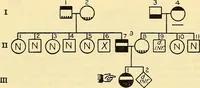 An illustration from The feebly inhibited; Nomadism, or the wandering impulse, with special reference to heredity, Inheritance of temperament (1915)