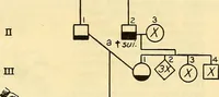 An illustration from The feebly inhibited; Nomadism, or the wandering impulse, with special reference to heredity, Inheritance of temperament (1915)