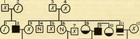 An illustration from The feebly inhibited; Nomadism, or the wandering impulse, with special reference to heredity, Inheritance of temperament (1915)