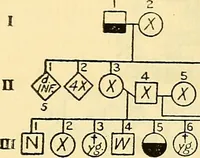 An illustration from The feebly inhibited; Nomadism, or the wandering impulse, with special reference to heredity, Inheritance of temperament (1915)