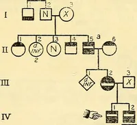 An illustration from The feebly inhibited; Nomadism, or the wandering impulse, with special reference to heredity, Inheritance of temperament (1915)