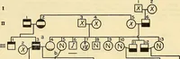 Picture 28 of 37 from The feebly inhibited; Nomadism, or the wandering impulse, with special reference to heredity, Inheritance of temperament (1915), leaf 154