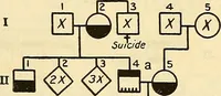 An illustration from The feebly inhibited; Nomadism, or the wandering impulse, with special reference to heredity, Inheritance of temperament (1915)