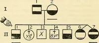 Picture 31 of 37 from The feebly inhibited; Nomadism, or the wandering impulse, with special reference to heredity, Inheritance of temperament (1915), leaf 156