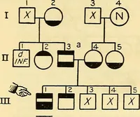 An illustration from The feebly inhibited; Nomadism, or the wandering impulse, with special reference to heredity, Inheritance of temperament (1915)