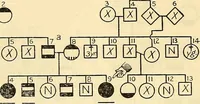 An illustration from The feebly inhibited; Nomadism, or the wandering impulse, with special reference to heredity, Inheritance of temperament (1915)