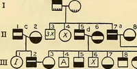 Picture 35 of 37 from The feebly inhibited; Nomadism, or the wandering impulse, with special reference to heredity, Inheritance of temperament (1915), leaf 162