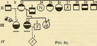 An illustration from The feebly inhibited; Nomadism, or the wandering impulse, with special reference to heredity, Inheritance of temperament (1915)