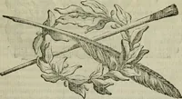 An illustration from Felsina pittrice : vite de pittori bolognesi (1678)